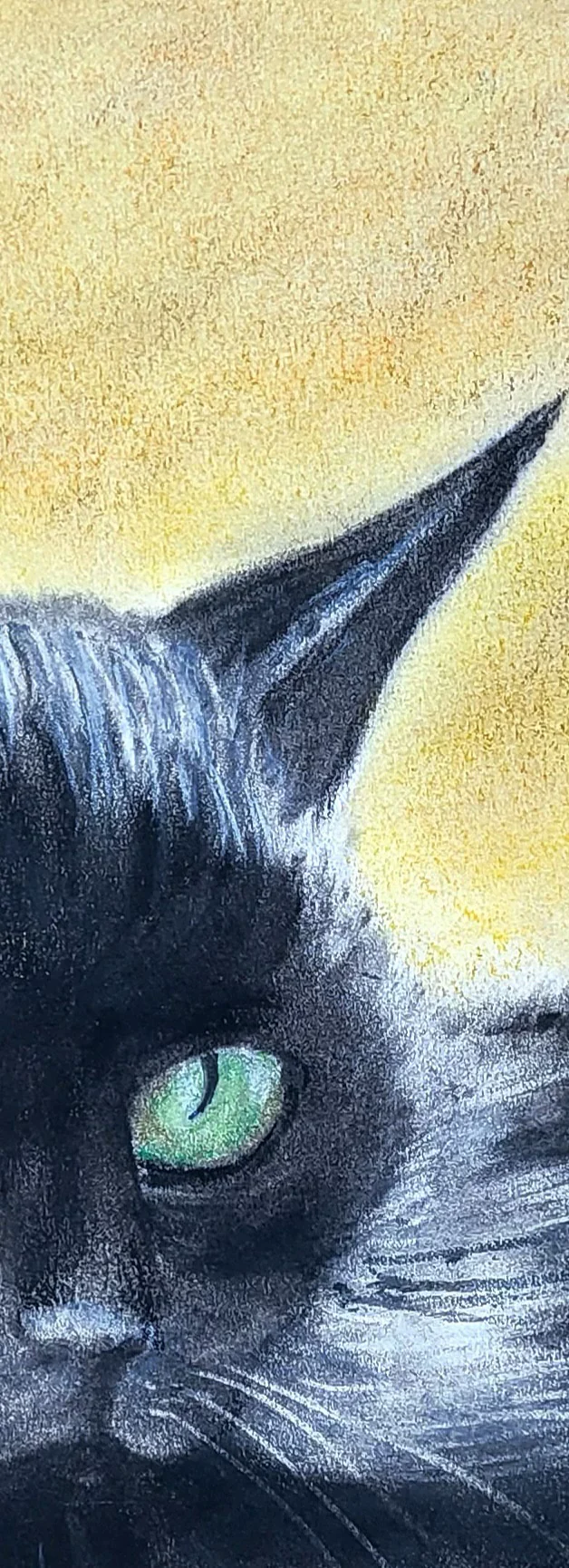 Chat Noir — Brigitte Gindra-Vady