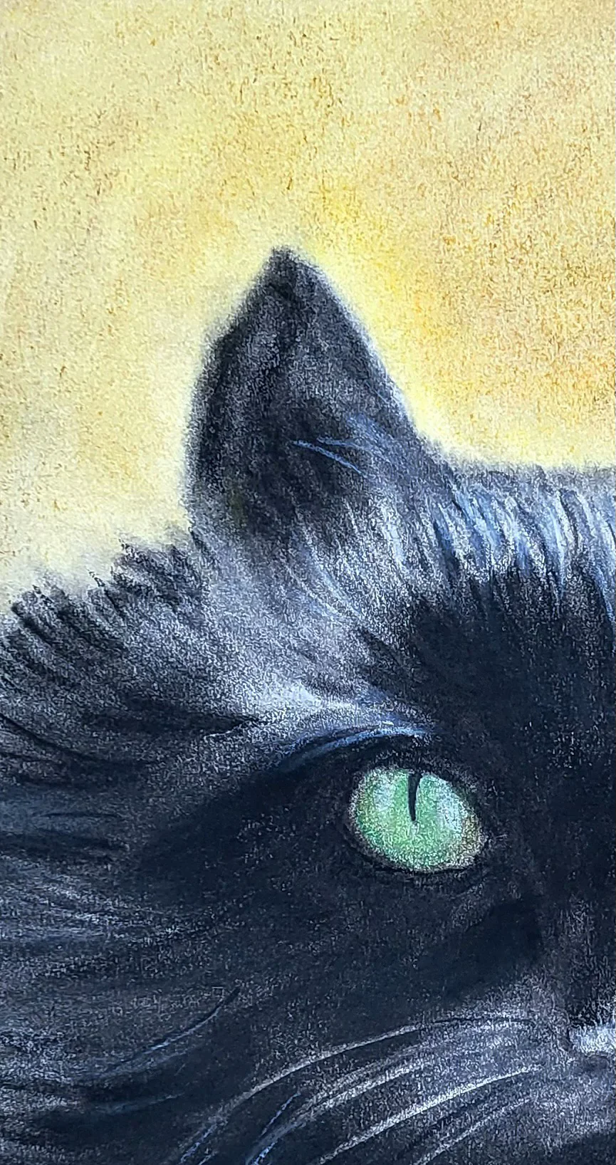 Chat Noir — Brigitte Gindra-Vady
