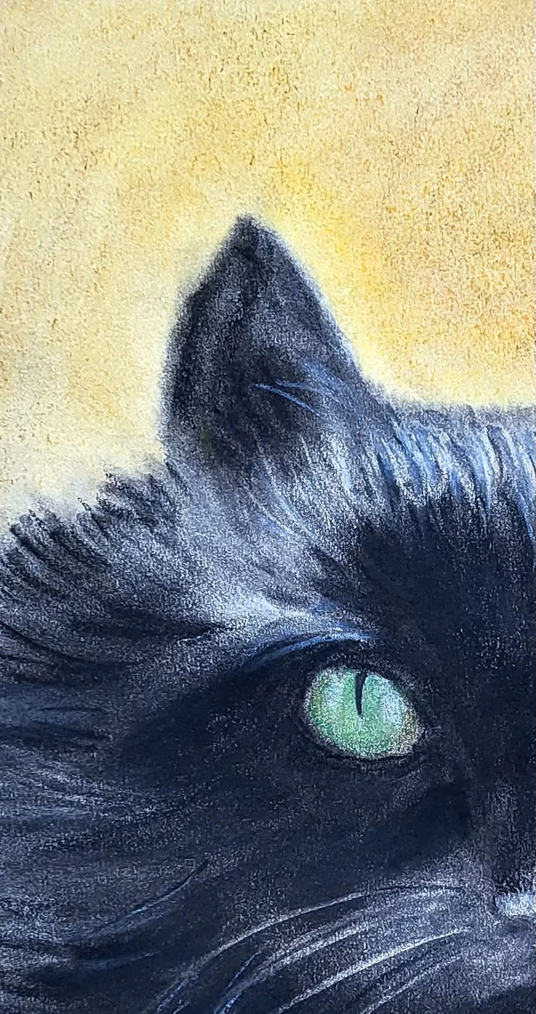 Chat Noir