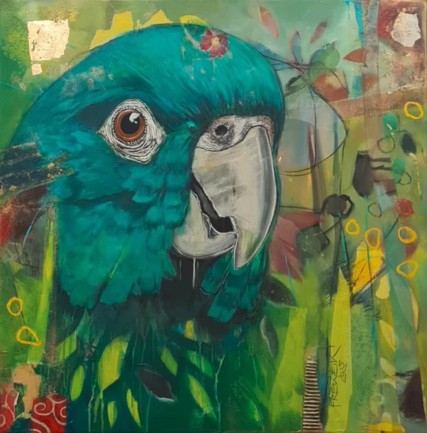 Kakadu — Judith Frewein
